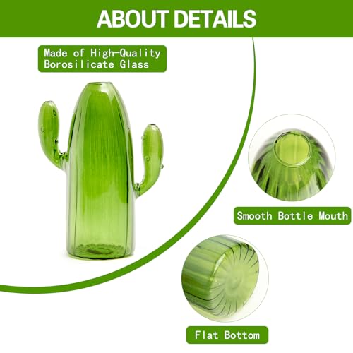 XXXFLOWER Cactus Plant Propagation Station 1 Cactus Vase Terrarium Jars - size: 1PC Cactus Vase