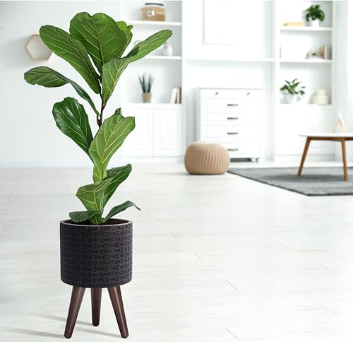 D'vine Dev Planter Pot with Wood Stand, 8 in, Distressed Black, 88-Z-A-5 - color: Distressed Black, size: Small