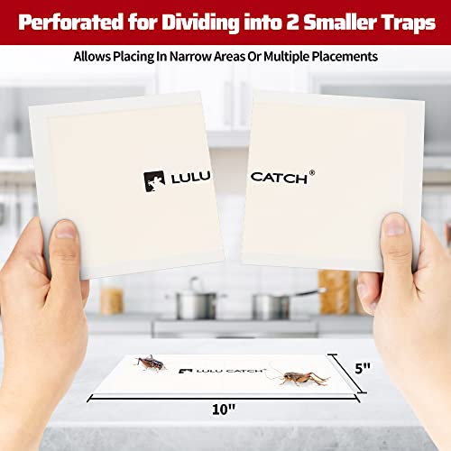 LULUCATCH Cricket Insect Glue Traps - 6 Pack Bug Cockroach Sticky Traps, Large Spider Trap with Pre-Baited Attractant, Highly Effective Glue Boards Indoor, Non-Toxic Pet Safe, Easy to Use - size: 6 Pack