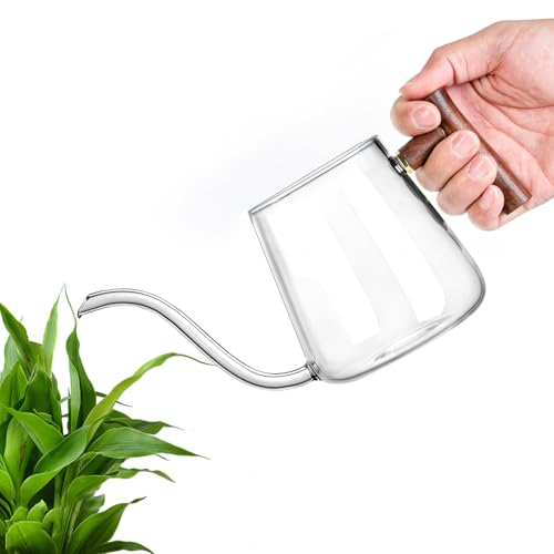 Watering Can Indoor Plants, 27 OZ Glass Watering Can, Long Curved Spout