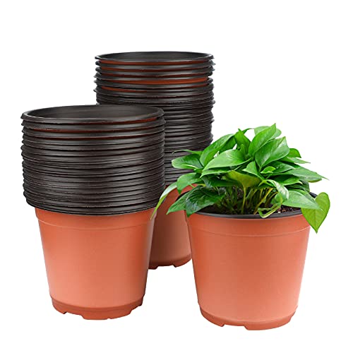 KINGLAKE 50 Pcs 6" Plastic Plants Nursery Seedlings Pot/Pots Flower Plant Container Seed Starting Pots for Plant - color: Brown