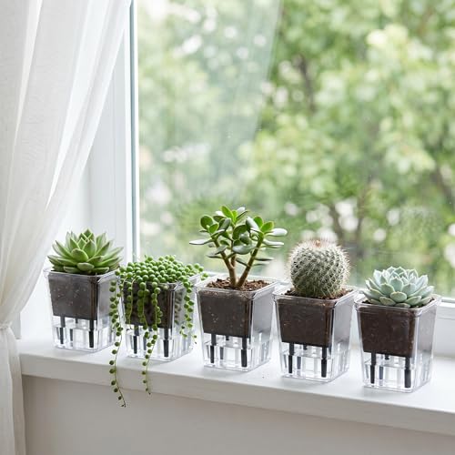 Self Watering Pots Set, Clear Self Planter Pot for Indoor Plants - size: 5Pcs Small