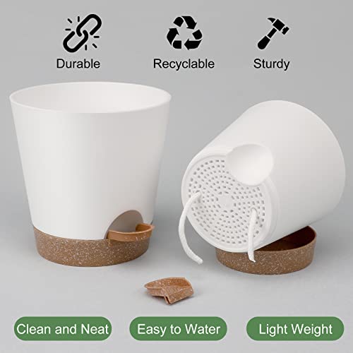 YNNICO Indoor Self Watering Planters with Drainage Holes and Saucers, 8, 7, 6.5, 6, 5.5, 5 Inches, White, 6 Pots (Pack of 2) - color: White, size: 8+7+6.5+6+5.5+5 inch (Pack of 2)
