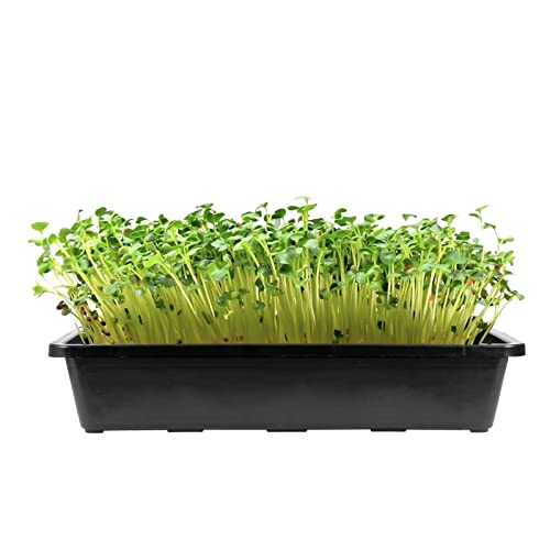 MOUYAT 14 Pack 15 x12 Inch Seed Starter Trays, Plastic Mesh Bottom Growing Trays, Plant Germination Trays for Microgreens, Soil Blocks, Wheatgrass, Hydroponic and Fodder Systems, Black