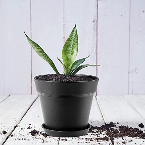 4 Inch Small Plant Pots 6 Pack, Plastic Plant Pots Indoor Saucer, Green - color: Green, size: 6 Pack-4in
