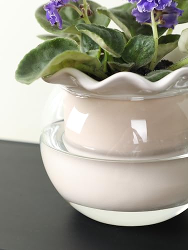 Fayoula 6 Inch African Violet Pots Maintenance, Glass Self-Watering Planter for Indoor Plants - Ideal Flower Pot for Thriving Indoor Gardens, Pots Only (Version 2)