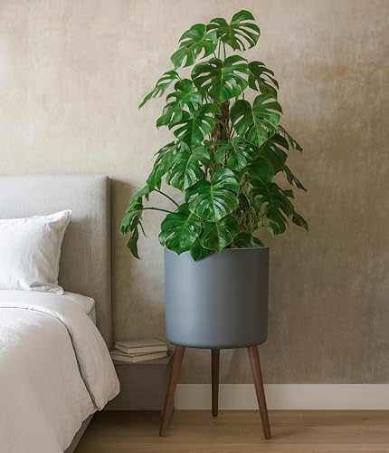 D'vine Dev 16 Inch Planter Pot with Wood Stand, Grey, 88-O-E-3 - color: Matte Grey, size: XX-Large