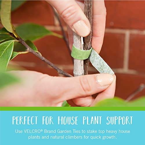 VELCRO Brand ONE-WRAP Plant Ties, 45 Count, 8 in x 1/2 in, Green - size: 8 in X 1/2 in