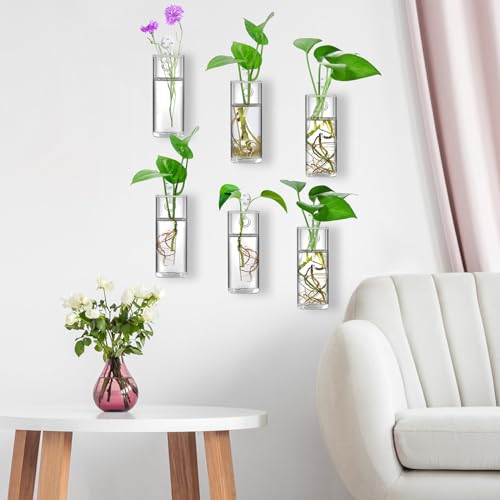 Fasmov 6 Pack Wall Hanging Glass Planters, Terrarium Holders for Air Plants, Succulents, Flowers - Square, Clear Vase Containers for Plant Display and Decoration - size: 2.36"L x 2.36"W x 6"H
