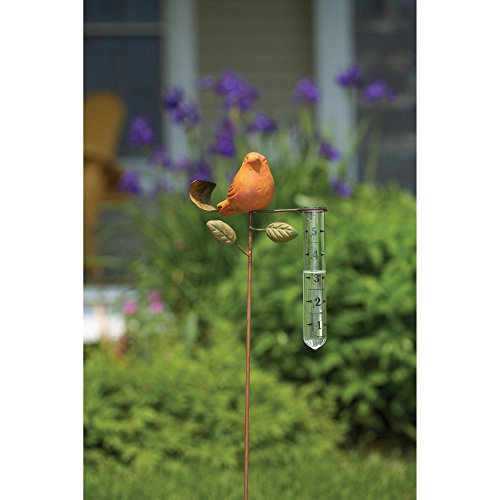 Ancient Graffiti Ceramic Spice Bird Rain Gauge