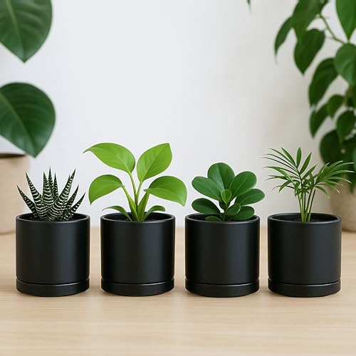 D'vine Dev 4-Pack Ceramic Pots with Saucers, Black, 3.5 in, 94-X-A-2 - color: Black, size: 3.5 Inch