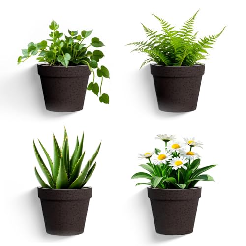 Asnext 2 Pack Indoor Wall Planter, 7.5 Inch Wall Planter Pot, Iron - color: Iron