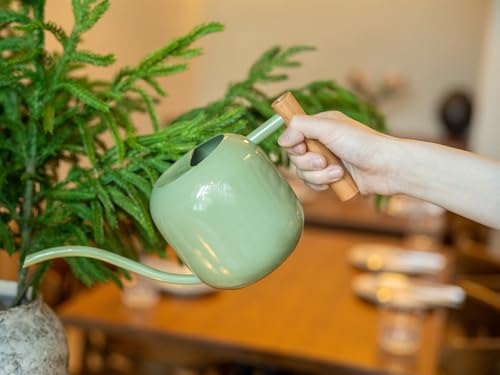 Green Moon 1.2L/41oz Metal Metal Watering Can with Long Spout, Sage Green - color: Sage Green