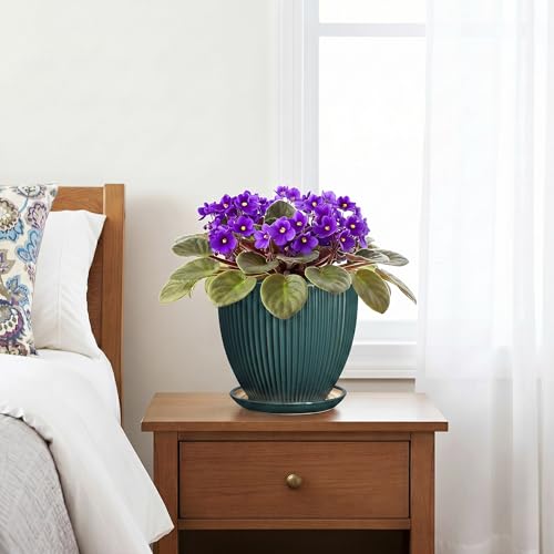 Ceramic Flower Pots, 6 Inch Planters with Saucer, Blackish Gree - color: Blackish Green, size: 6 Inch