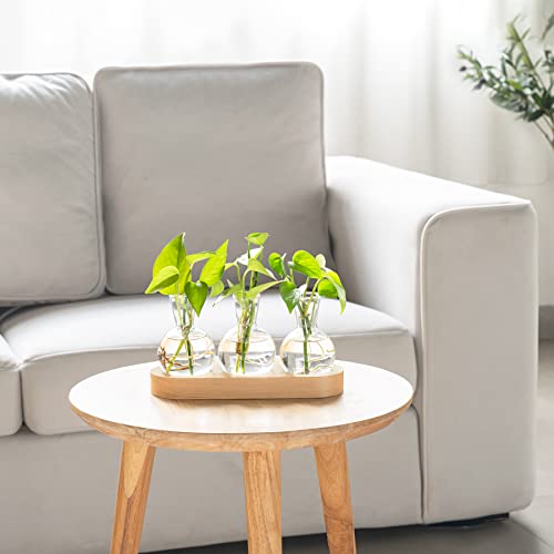 Mkono Plant Propagation Station, Desktop Glass 3 Bulb Vase Beige Wood Tray - color: Beige, size: Medium