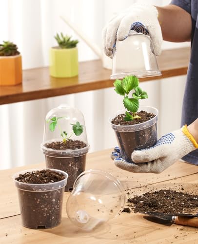homenote 3/4/5 Inch Clear Nursery Pots with Domes for Propagation (15 Pcs) - color: Transparency-with Lid, size: 3/4/5 Inch-15 Pack