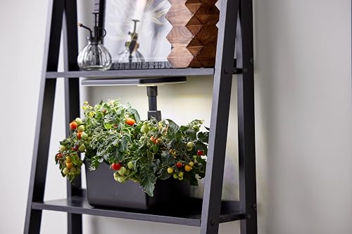 AeroGarden Harvest Lite, Black - color: Black, style: Harvest Lite