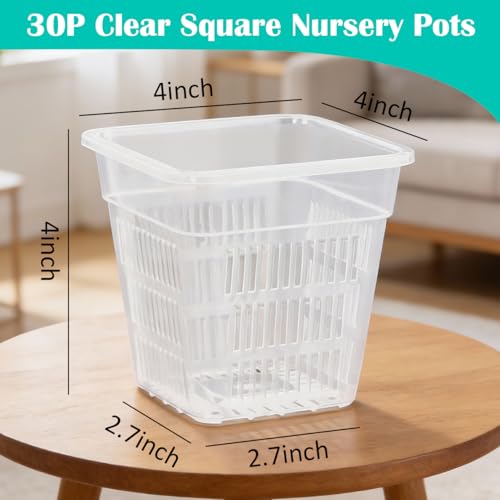 BTPLASTIK Clear Square Nursery Pots, 30 Packs 4 Inch Clear Hydroponics Growing Square Pots, Transparent Plastic Plant Pots for Seed Starting, Root Cutting - size: 4 Inch-30P