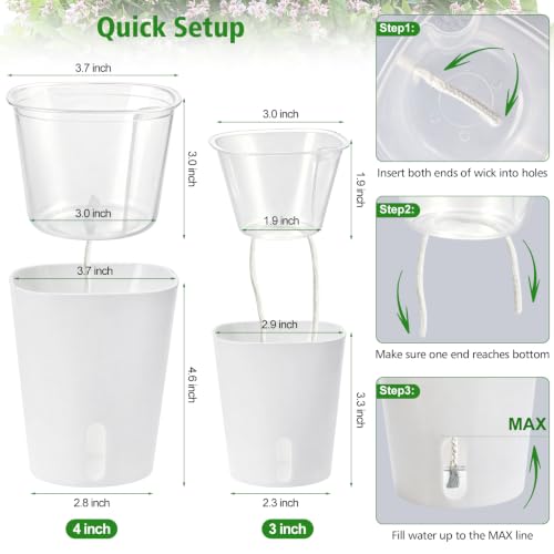 3 Inch Self Watering Pots for Indoor Plants, 10 Pack Clear Nursery Pots with Drainage & Water Level Indicator, Plant Pots for African Violet, Flowers, Herbs - size: 3 Inch