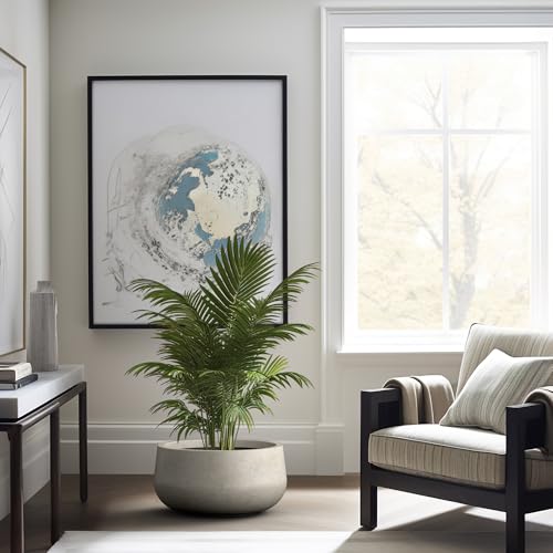 Kante Large Round Bowl Weathered Concrete Planter 20" Dia, Outdoor - color: Weathered Concrete, size: 19.6"w