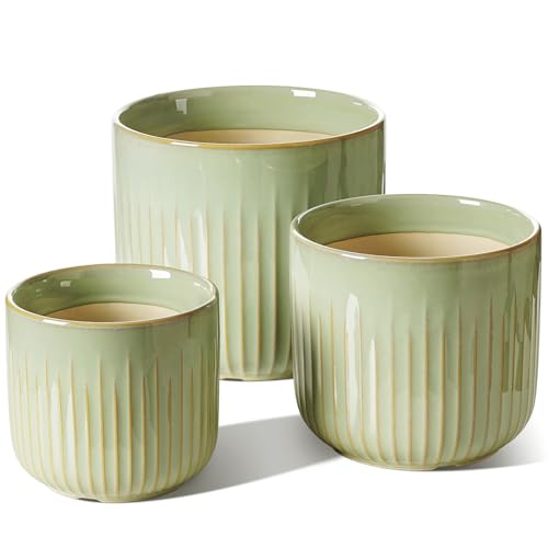 LE TAUCI Ceramic Pots for Plants, 8.3/7/6 Inch Indoor Planters with Drainage Holes & Mesh, Modern Glossy Glaze Cylinder Fluted Plant Pot for Snake Plant, Set of 3, Sage Green - color: Sage Green