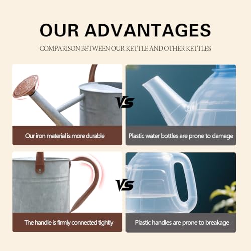 Metal Watering Can 1 Gallon for Outdoor Garden Plants, Zinc - color: Zinc