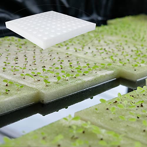 600 Pcs Hydroponic Sponges, 1 in Square Seedling Sponges for Bud