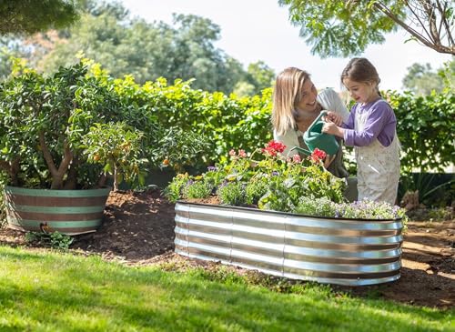 Plant & Plot Galvanized Raised Garden Beds Outdoor // 4×2×1 ft (2-Pack) Planter Raised Beds for Gardening, Vegetables, Flowers // Large Metal Garden Box (Silver) // Patented Tool-Free Design - color: Silver