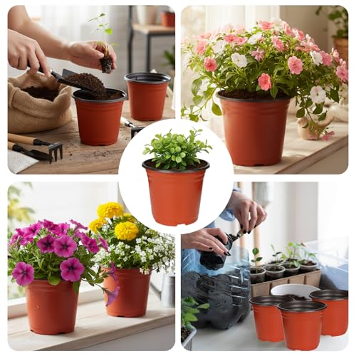 40 PCS Plant Nursery Pots 6 Inch Plant Seedling Pots with Drainage Holes Plastic Plant Flower Pot Small Plastic Seed Starting Pot Starter Containers Office Home Indoor Outdoor - color: Red-6 Inch-40pcs