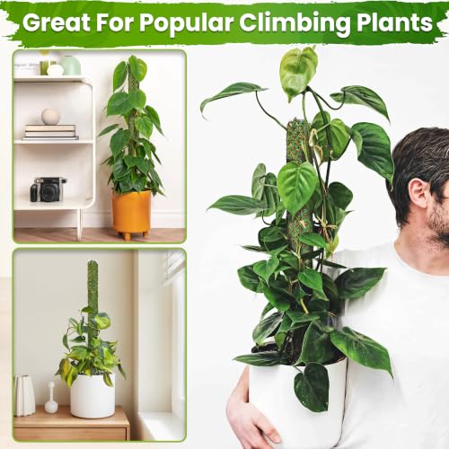 DUSPRO Self-Watering Natural Green Forest Moss Pole, 2pcs 23'' - size: SELF WATERING MOSS POLE