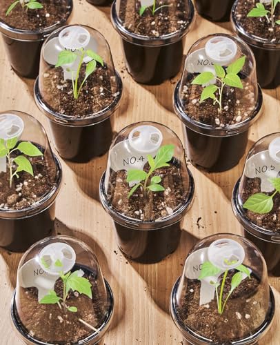 homenote 3/4/5 Inch Black Plastic Nursery Pots with Humidity Domes (15 Pcs) - color: Black-with Lid, size: 3/4/5 Inch-15 Pack