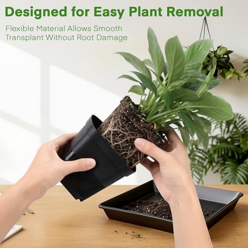 GREANER 50 Pcs Nursery Pots 4 Inch, 5 Packs 12 Inch Reusable Seed Starter Tray, Plastic Sturdy Planting Pots with 20PCS Plant Labels for Indoor Outdoor - size: 4" Pots-50PCS + 12" Trays-5PCS