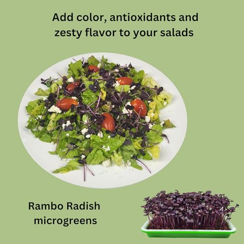 Microgreen Refill – 4 Harvests: Coco Coir Discs and 4 Packs Organic Seeds - style: Coco Coir Refill
