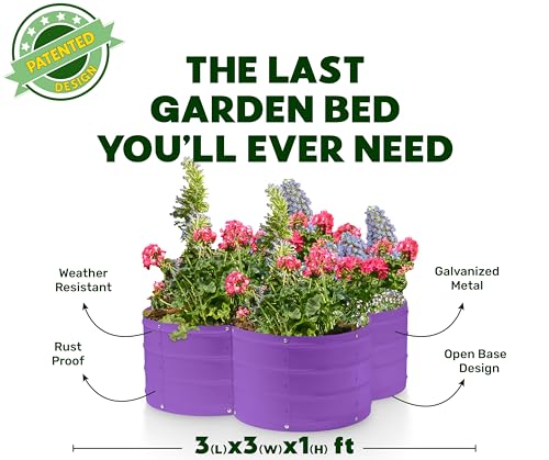 Plant & Plot Galvanized Raised Garden Beds Outdoor // 3×3×1 ft Planter Raised Beds for Gardening, Vegetables, Flowers // Large Metal Garden Box (Purple) // Patented Tool-Free Design - color: Purple
