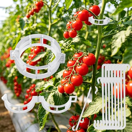 250 Pcs Tomato Clips and Hooks, Plant Support Clips for Tomatoes Grape Grow