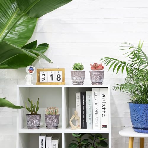 Gepege Ceramic Succulent Pots, 4 Inch Small Plant Pots with Drainage - color: Clay+white, size: 4 Inch - Set of 4