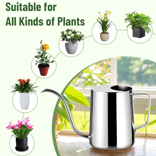 Doseno Indoor Watering Can, Long Spout Watering Can, Stainless Steel, 20 oz - size: 600ml/20oz-Stainless Steel