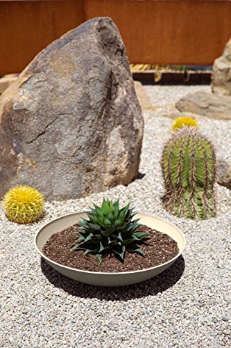 Veradek Mason Series Lane Bowl - Large Outdoor Bowl Planter - color: Sand, size: 6"H x 24"DIA