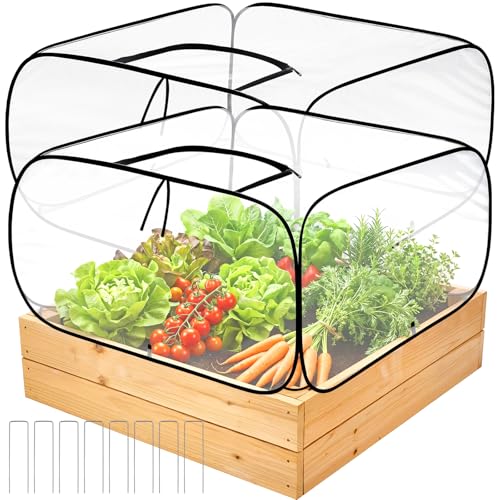 2 Pack Garden Covers for Raised Bed Foldable Clear PVC Greenhouse for Freeze Protection Row Plants Cover Accelerator with Zipper Door Black 39"x39"x20" Protection Vegetable Fruit from Animal - size: 39"x39"x20"