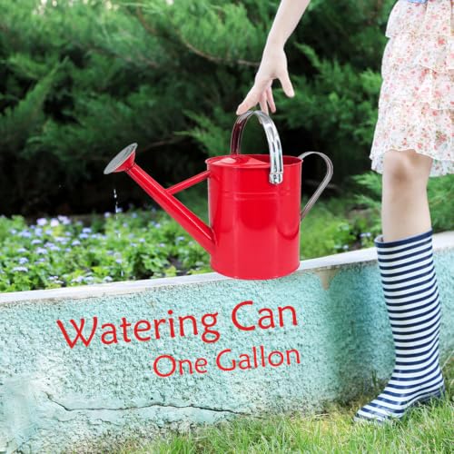 Metal Watering Can 1 Gallon for Indoor and Outdoor Plants Red - color: 1 Gallon Red