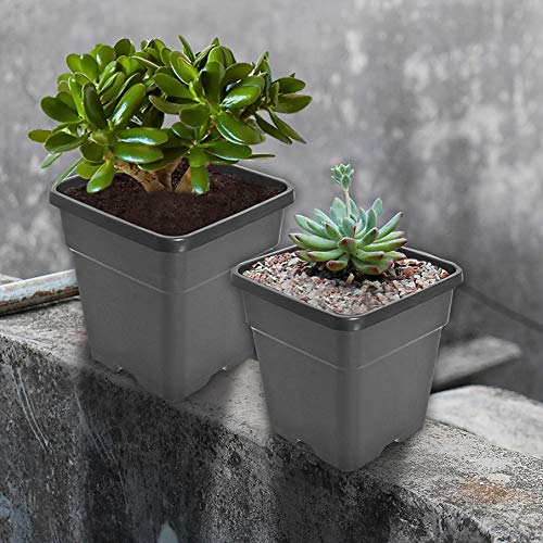 10 Gallon Square Nursery Pots Plant Pots Growing Pots Nursery Container for Planting Soil Plants 10Pcs - color: Black, size: 10 Gallon