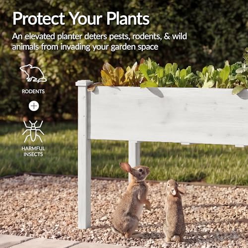 Best Choice Products 72x24x30in Raised Garden Bed, Elevated Wood Planter Box Stand for Backyard, Patio, Balcony w/Divider Panel, 6 Legs, 300lb Capacity - White - color: White, size: Standard 72" Length