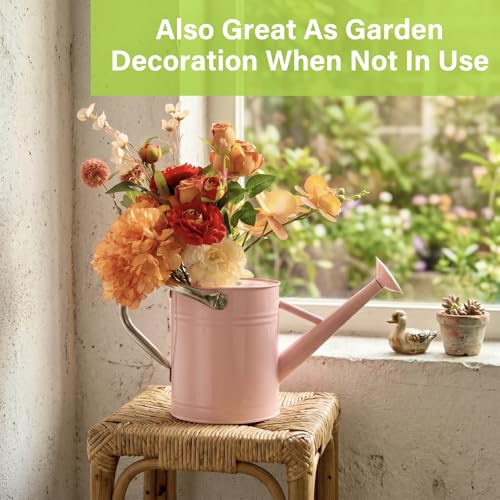 1 Gallon Watering Can for Outdoor&Indoor Plants,Pink - color: Pink