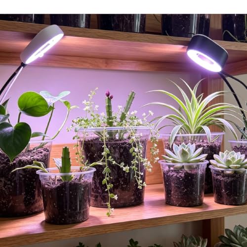 Clear Nursery Pots with Drainage, 3-9.6 in Plant Pot (18Pack 4/5/6/8in) - size: 18Pack 4/5/6/8in