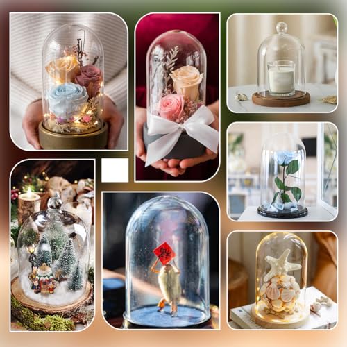 AHANDMAKER Acrylic Display Dome Case Cloche Globe, 3X4 Black Base Crystal Dome Bell Jar Display Case for Figures Flowers Plants Bouquets Photos Medals Tabletop Wedding Decorations