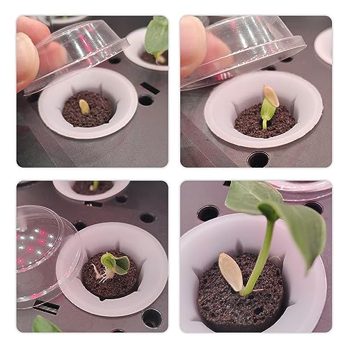 20 PCS Replacement Grow Baskets and Grow Domes Compatible with Aero Garden, Hydroponics Garden Accessories Basket Set,Plant Growing Container with Transparent Insulation Domes.