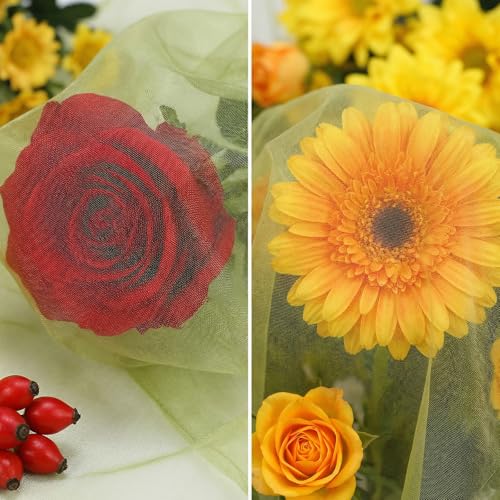 100 Pcs 4 x 6 Inch Fruit Protection Bags, Drawstring Mesh Netting Cover