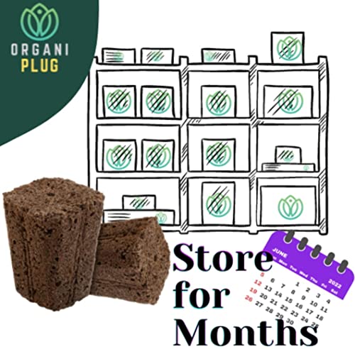 VPS OrganiPlug Hydroponic Seed Starter Plugs, 2000 Pack, Rapid Root Planting Pods for Seedling, Clone, Cutting, Promotes Plant, Flower, Vegetable Growth w/Organic Soil Ingredients, Fits Standard Tray - size: 2000 Pack