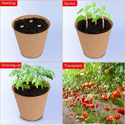 Biodegradable Peat Pots Set (2 Packs of 10 Pots) - size: 2 Pack