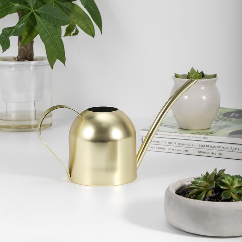 Stainless Steel Water Can for Indoor Plants and Garden (Gold 30 oz) - size: Gold 30 oz